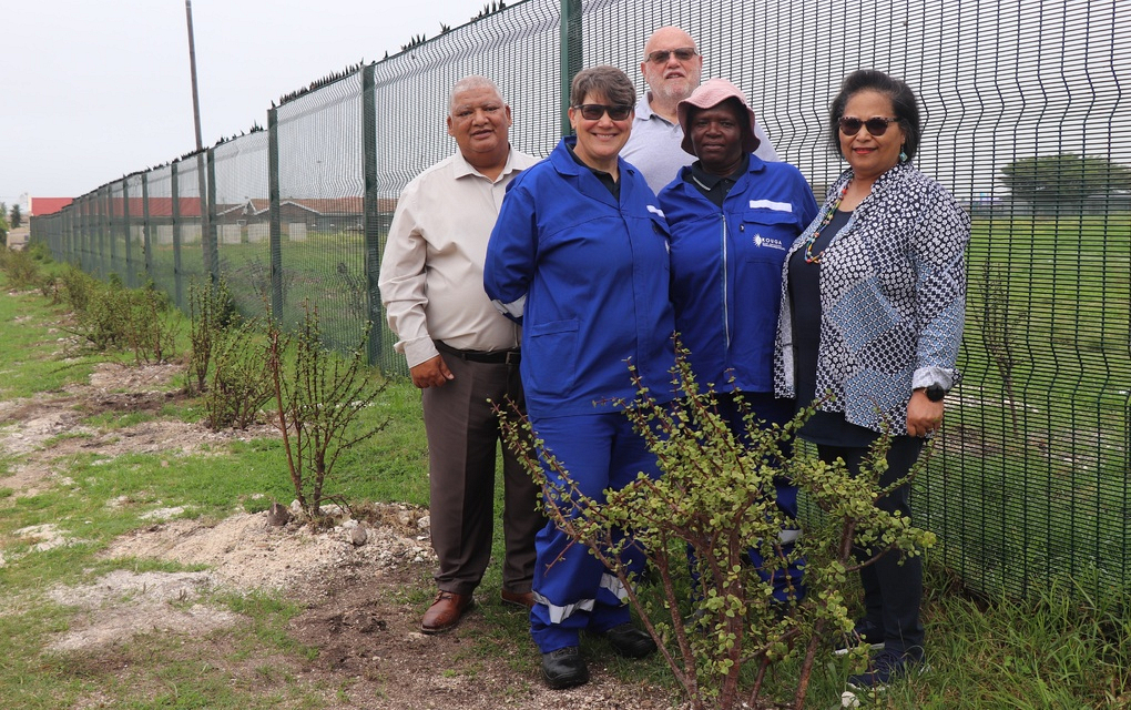 Pictured are (back from left) Joseph Goeda (Pellsrus Primary School Principal), Mark Kitchener (Ukumila/Thrive), (front) Suharon Smith (Kouga Local Municipality), Nomgqibelo Madoleana (Kouga Local Municipality), and Rochelle Ludick (Kouga Local Municipality, Manager: Parks and Amenities). 